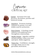 Capricorn Zodiac Crystal Bundle