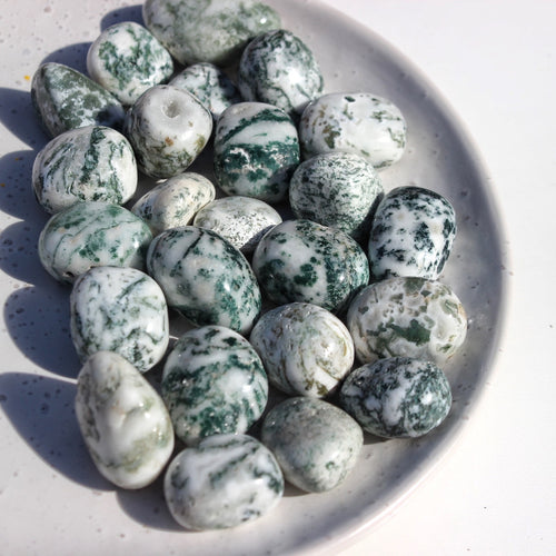 Tree Agate Tumble Stone