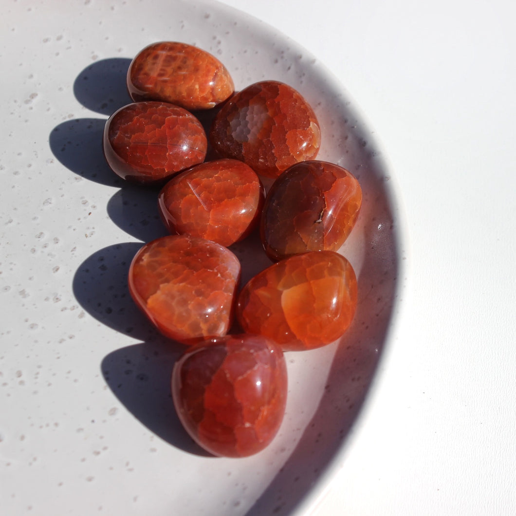 Fire Agate Tumble Stone